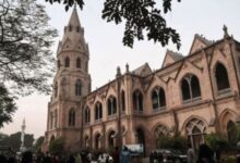 government college university teacher