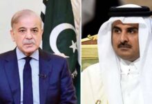 qatri pm talk with shahbaz sharif