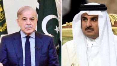 qatri pm talk with shahbaz sharif
