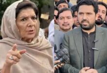 aleema khan talk against sohail afridi