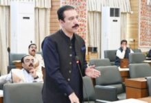 azad kashmir government