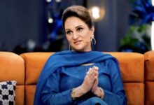 bushra ansari news