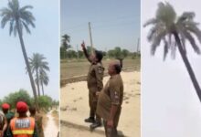 dera ghazi khan news