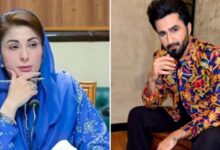 falak shabeer apeel to maryam nawaz