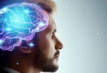 human mind