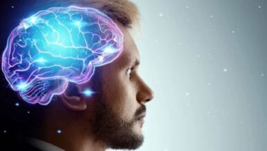 human mind