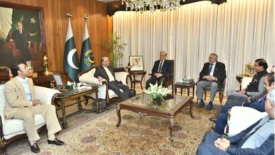 pmln and ppp news