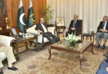 ppp and pmln