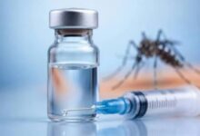 India also approved the first dengue vaccine