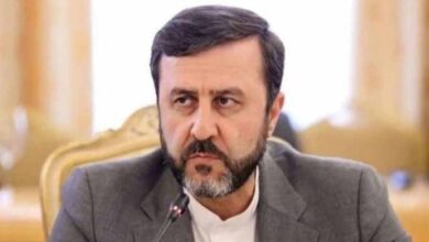 Iranian Deputy Foreign Minister