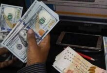 Overseas Pakistanis
