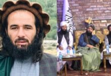 afgan taliban news