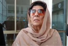 aleema khan news