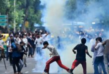 cockroach janta party protest