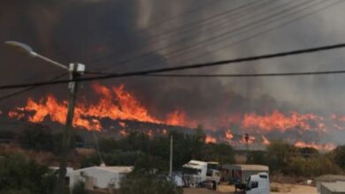 fire in spain forest