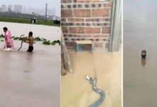 flood in china