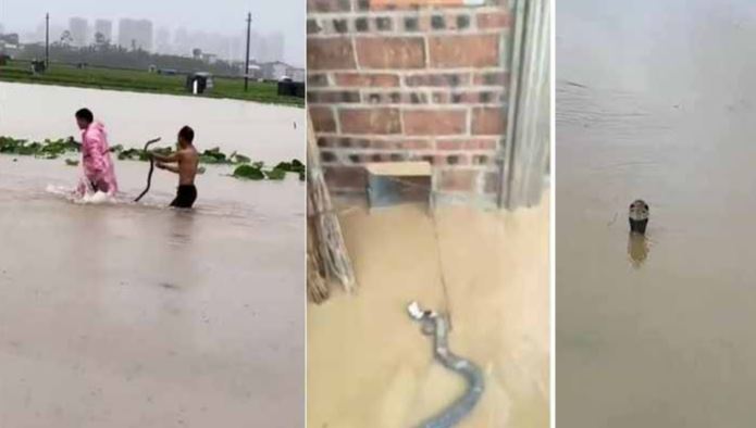flood in china