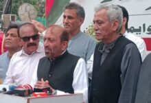 mqm and pmln