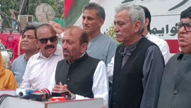 mqm and pmln