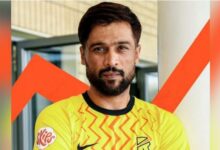 muhammad amir cricketer