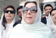 noreen niazi