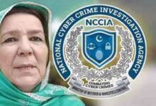 noreen niazi and nccia