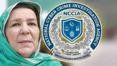noreen niazi and nccia