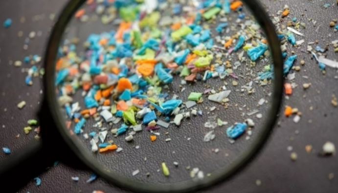 plastic zaraat in human body