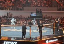 robots fight in china