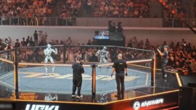 robots fight in china