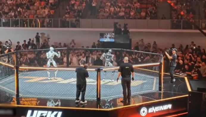 robots fight in china