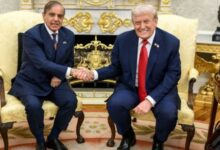 shahbaz sharif congratulation to trump