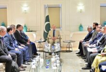 shahbaz sharif meeting with turkey businessman