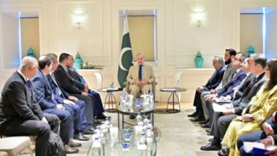 shahbaz sharif meeting with turkey businessman