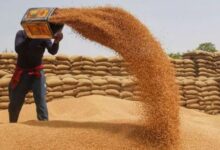 Approval to import wheat