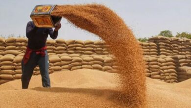 Approval to import wheat