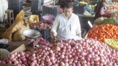 Onion price