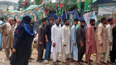 azad kashmir election