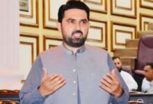 cm kpk sohail afridi