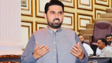 cm kpk sohail afridi