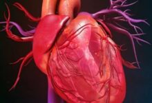 heart failer patient