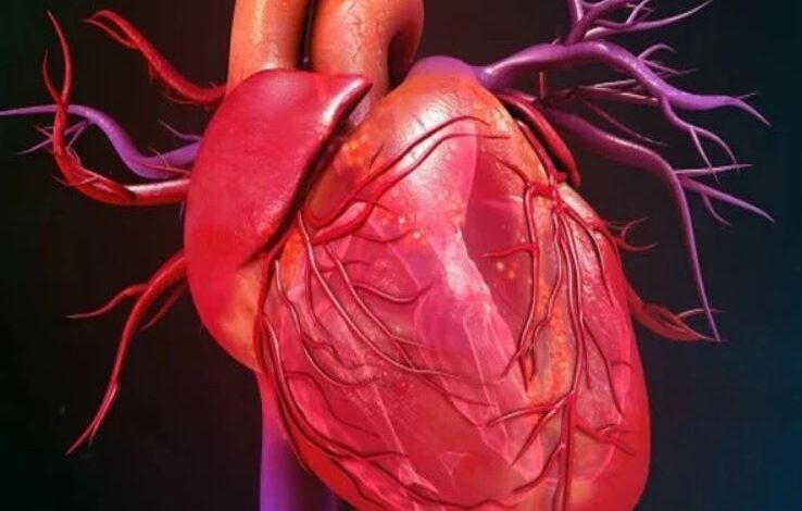 heart failer patient
