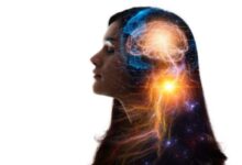 mind fresh