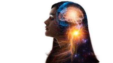 mind fresh