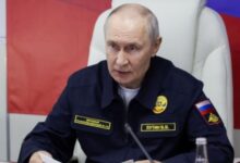 putin news