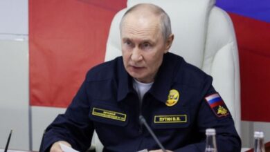 putin news