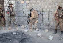 security forceses avtivity