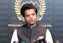 shafi jan