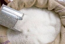 sugar news