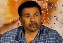 sunny deol
